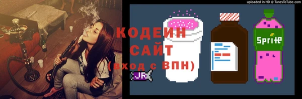 ГАЛЛЮЦИНОГЕННЫЕ ГРИБЫ Арсеньев