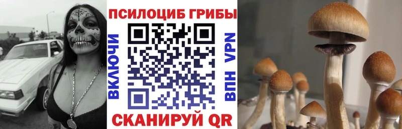 Псилоцибиновые грибы Psilocybine cubensis  Купить закладки  Пестово 